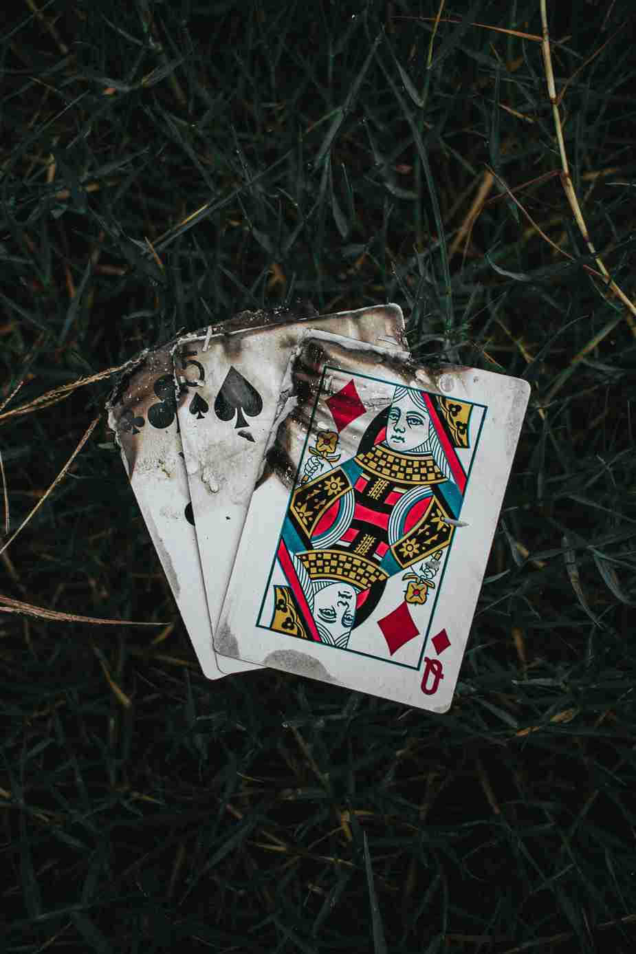 John Vegas Casino: A Global Casino Experience? Exploring the Facts